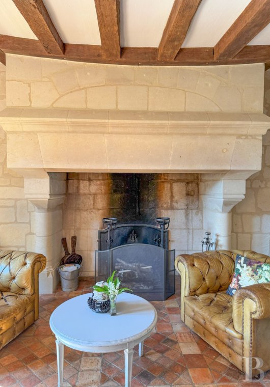 France mansions for sale pays de loire   - 6
