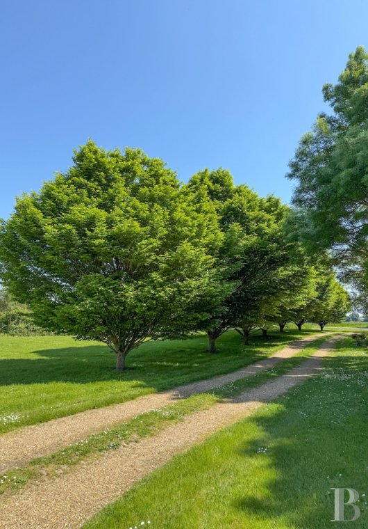 France mansions for sale pays de loire   - 14