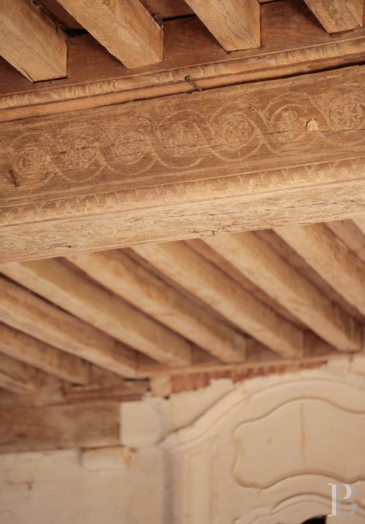 chateaux a vendre bourgogne   - 6