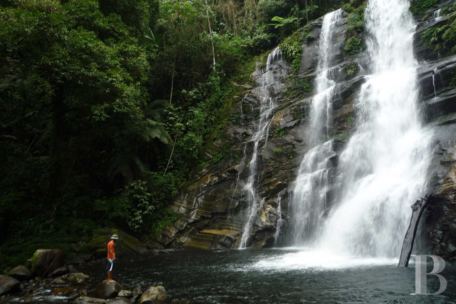 A colonial-inspired house surrounded by nature in Picinguaba, on the Brazilian coast between São Paulo and Rio de Janeiro - photo  n°24