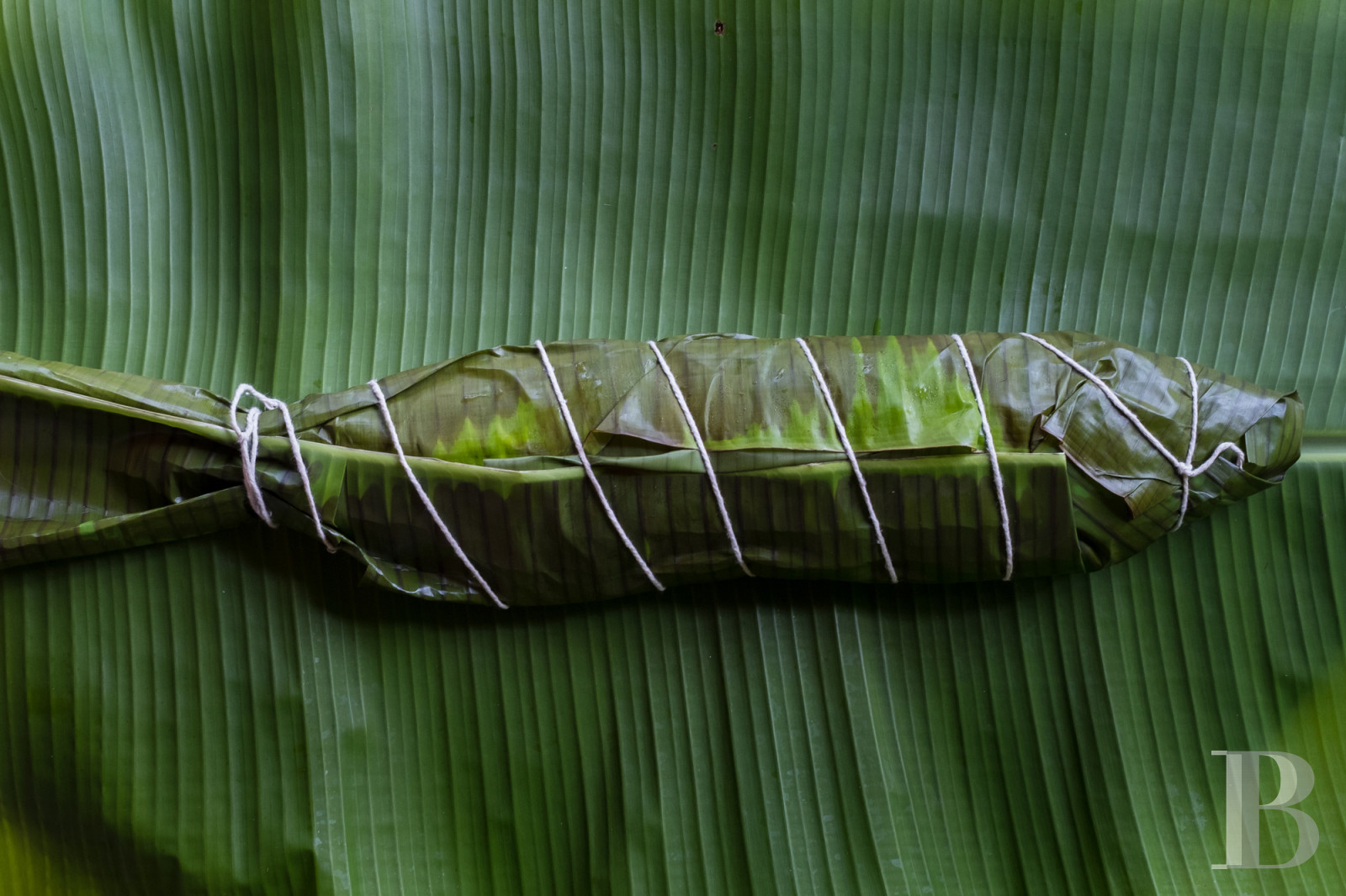A colonial-inspired house surrounded by nature in Picinguaba, on the Brazilian coast between São Paulo and Rio de Janeiro - photo  n°7