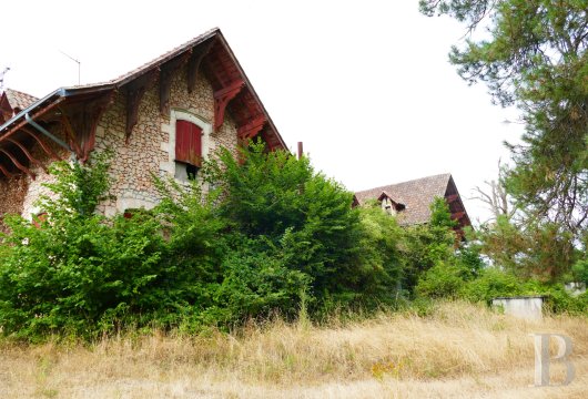 chateaux a vendre poitou charentes   - 10