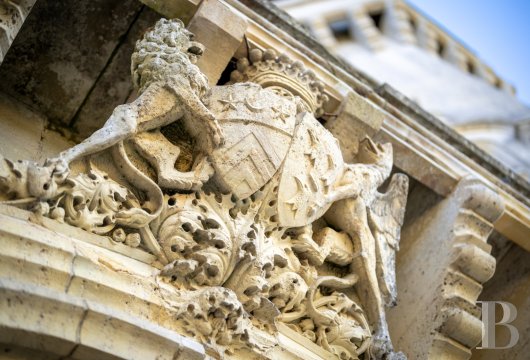 chateaux for sale France poitou charentes   - 6