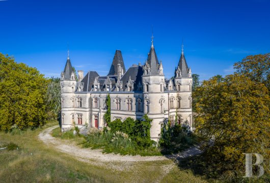 chateaux for sale France poitou charentes   - 4