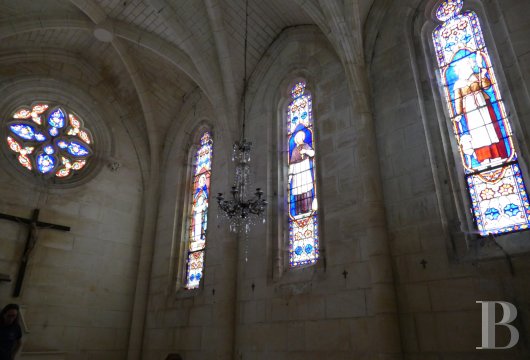 chateaux a vendre poitou charentes   - 7