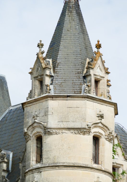 chateaux a vendre poitou charentes   - 2