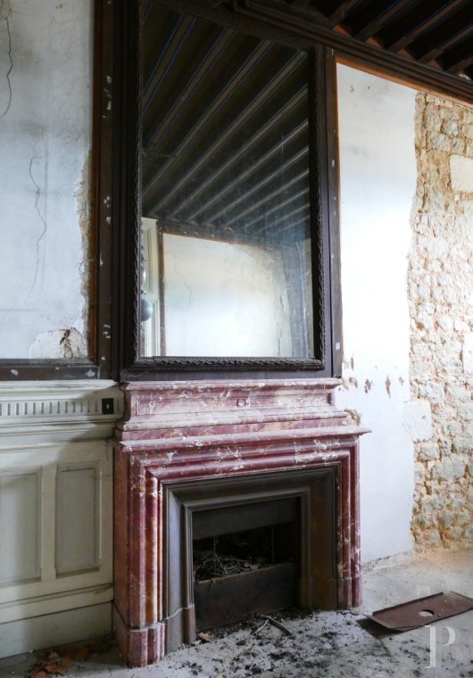 chateaux a vendre poitou charentes   - 6
