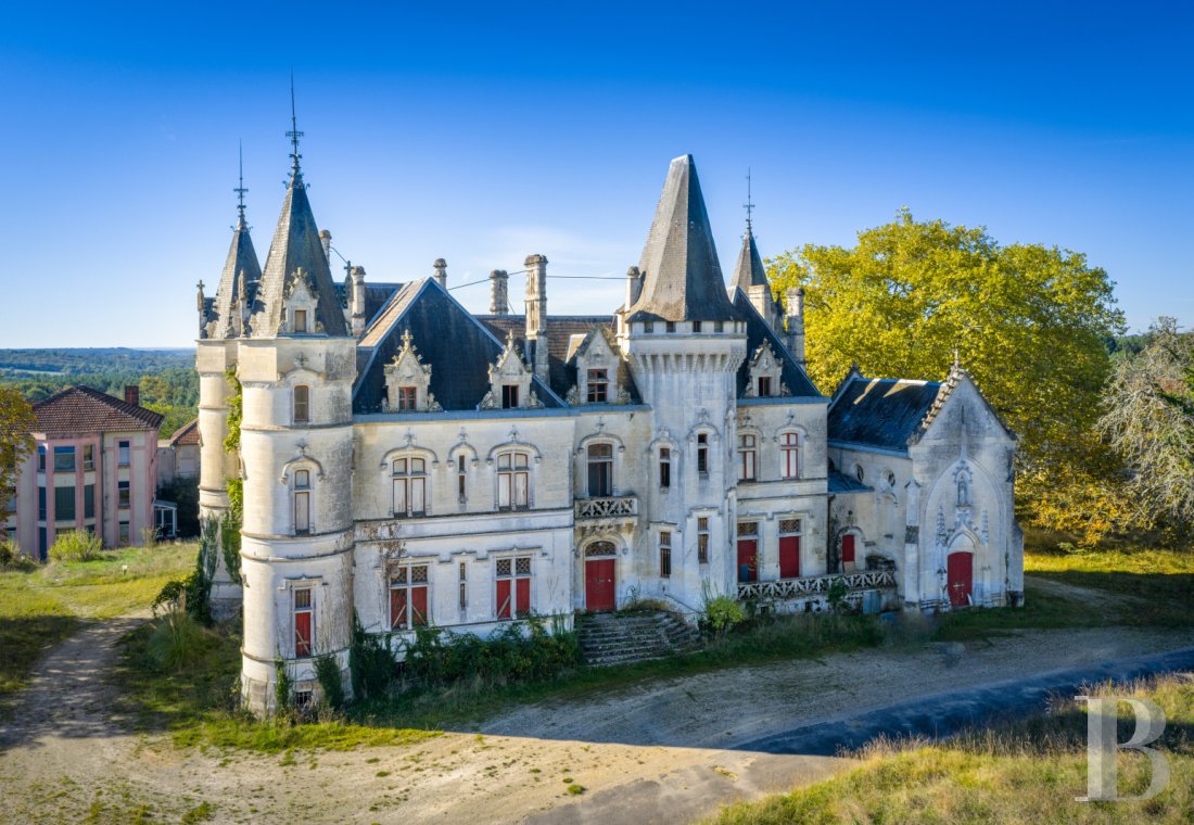 chateaux for sale France poitou charentes   - 3