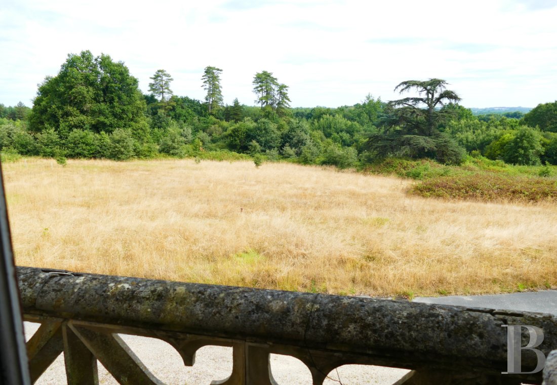 chateaux a vendre poitou charentes   - 11