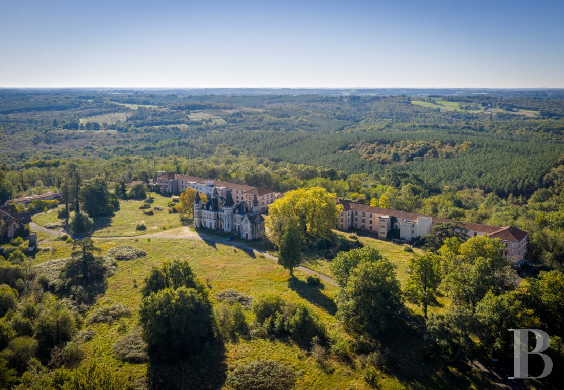 chateaux for sale France poitou charentes   - 1