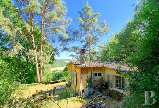 lorraine - A cabin and two bunkers on a 2-hectare truffle farm perched on a wooded Lorraine hillside, thirty minutes from Metz