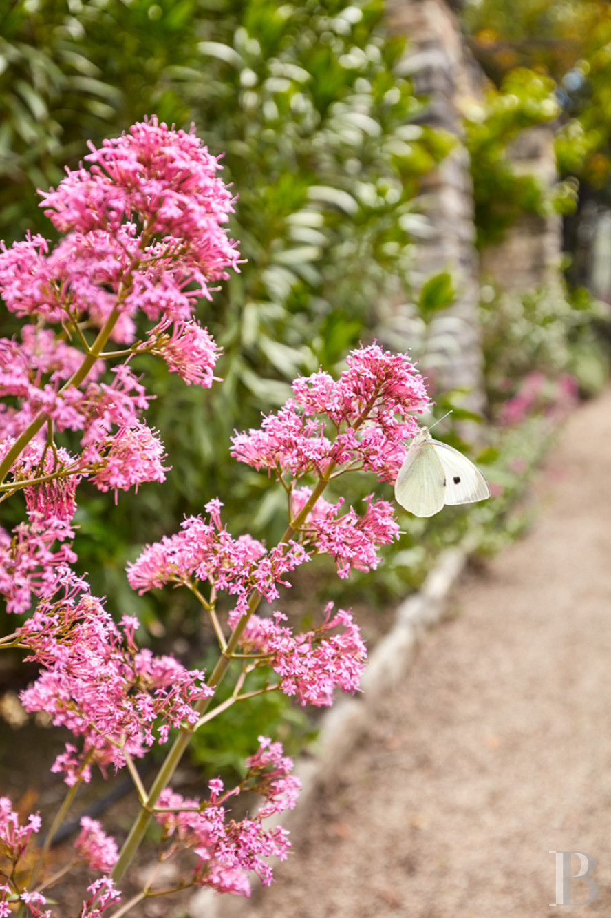 Dans les Alpes-de-Haute-Provence, au sud de Forcalquier, une maison de village traditionnelle et audacieuse - photo  n°37
