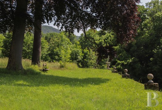 chateaux for sale France rhones alps   - 39