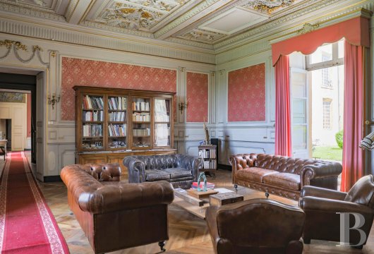 chateaux for sale France rhones alps   - 21