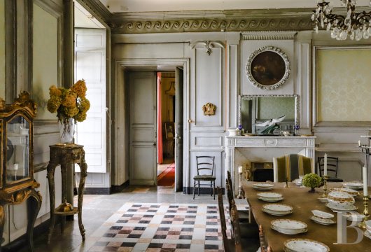 chateaux for sale France rhones alps   - 18