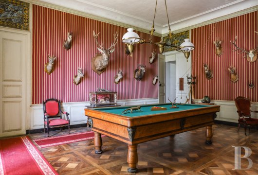 chateaux for sale France rhones alps   - 29