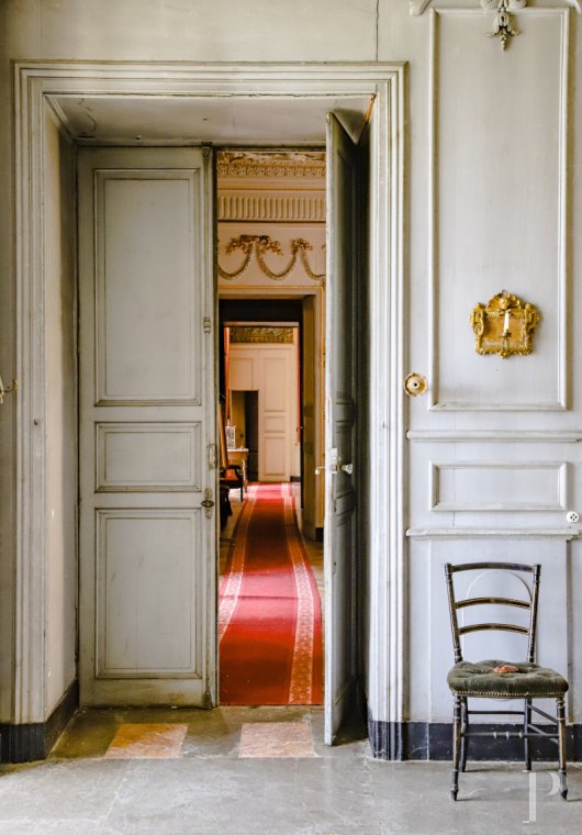 chateaux for sale France rhones alps   - 19