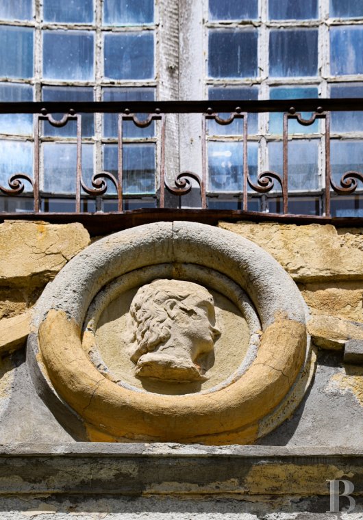 chateaux for sale France rhones alps   - 13