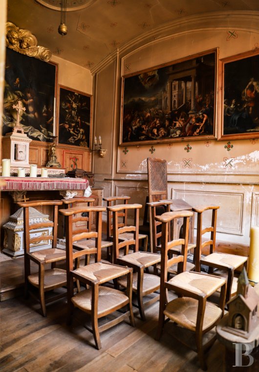 chateaux for sale France rhones alps   - 28