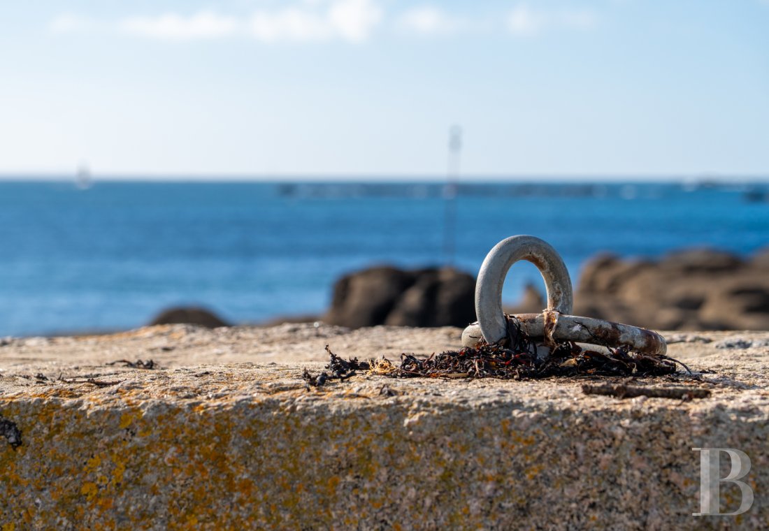 A 17th century manor house with a walled garden, in the heart of the village of Lanildut on the tip of Finistère - photo  n°40