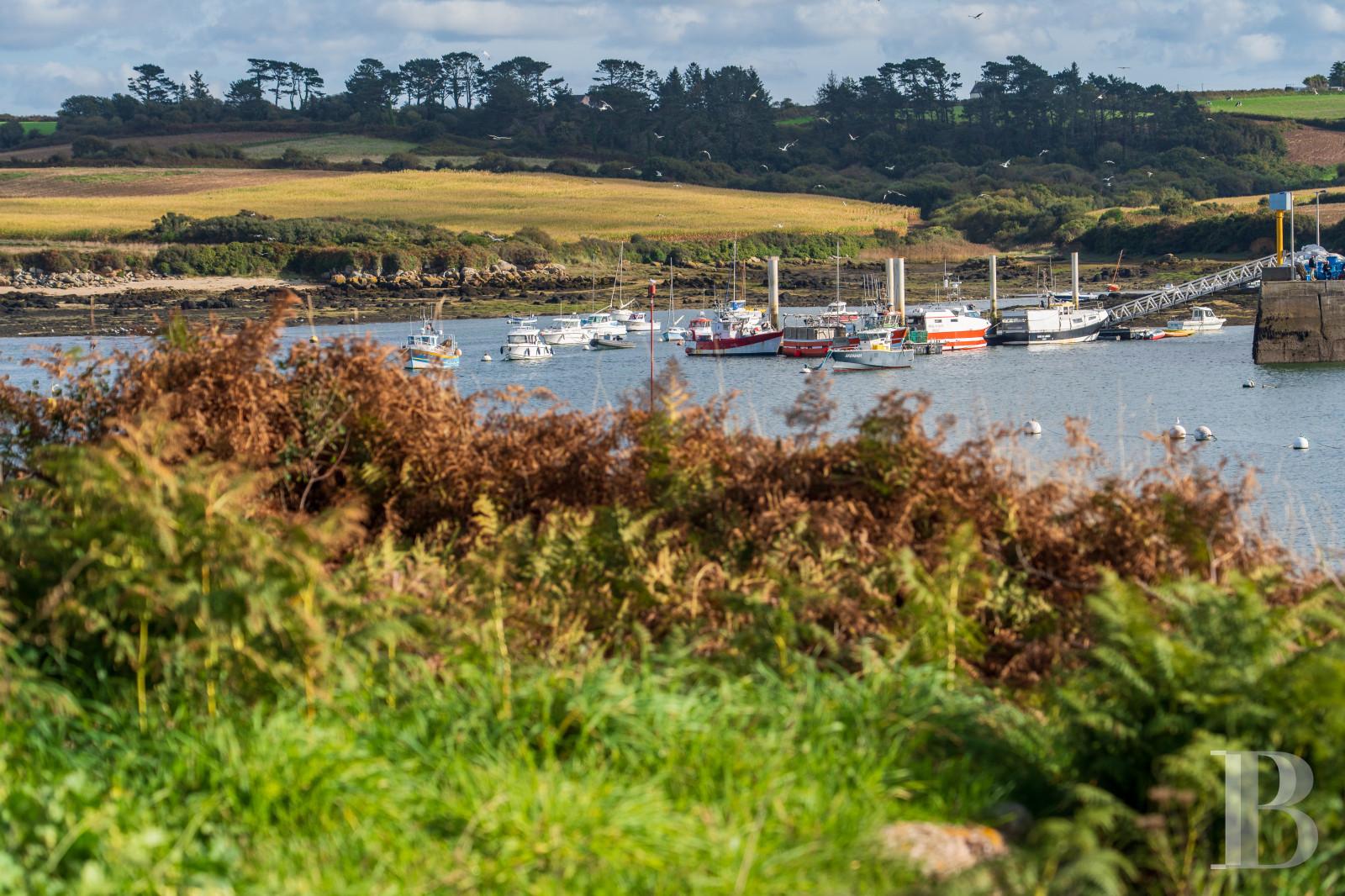 A 17th century manor house with a walled garden, in the heart of the village of Lanildut on the tip of Finistère - photo  n°41