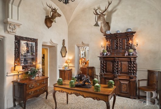 chateaux a vendre rhones alpes   - 4