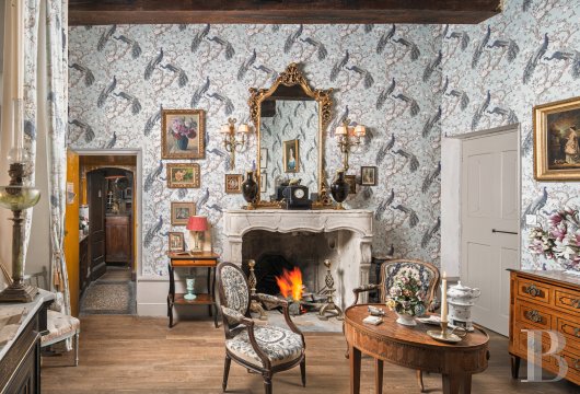 chateaux a vendre rhones alpes   - 12