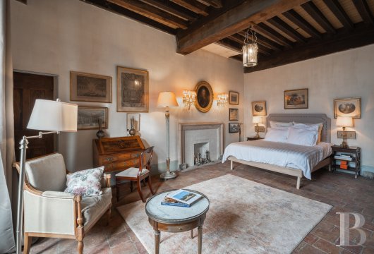 chateaux a vendre rhones alpes   - 13