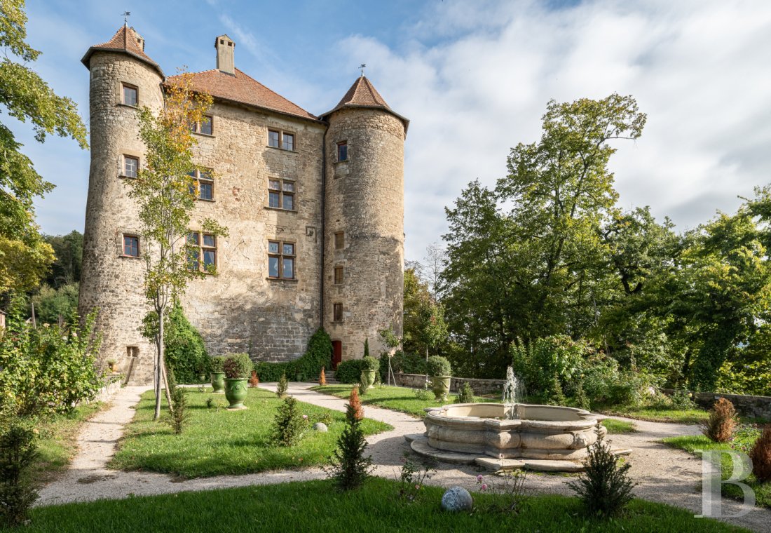 chateaux a vendre rhones alpes   - 2