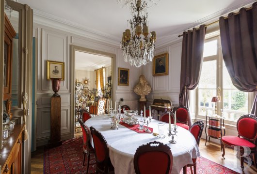 chateaux for sale France pays de loire   - 16
