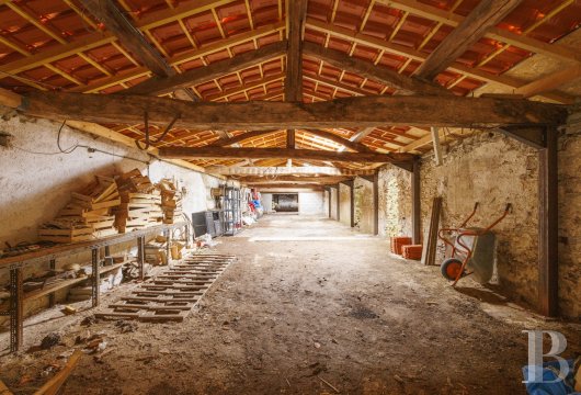 chateaux for sale France pays de loire   - 26