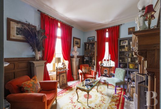 chateaux for sale France pays de loire   - 15