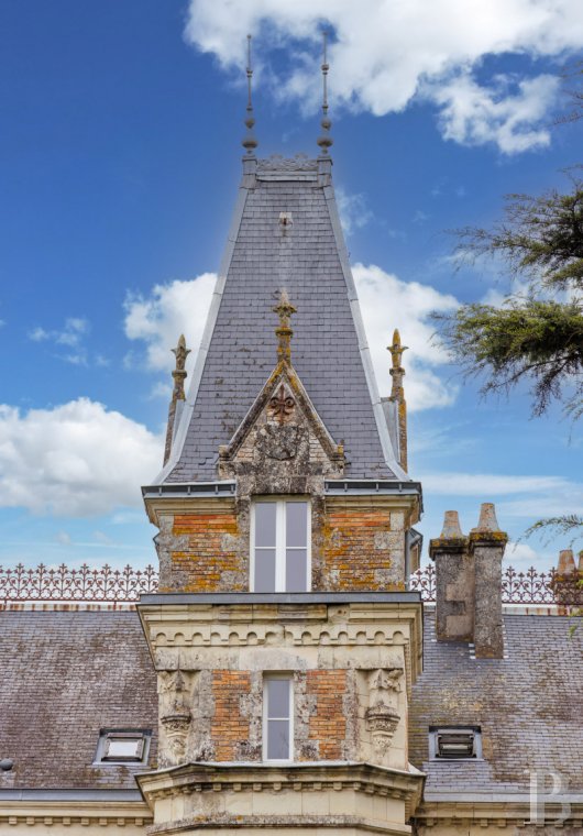 chateaux for sale France pays de loire   - 5