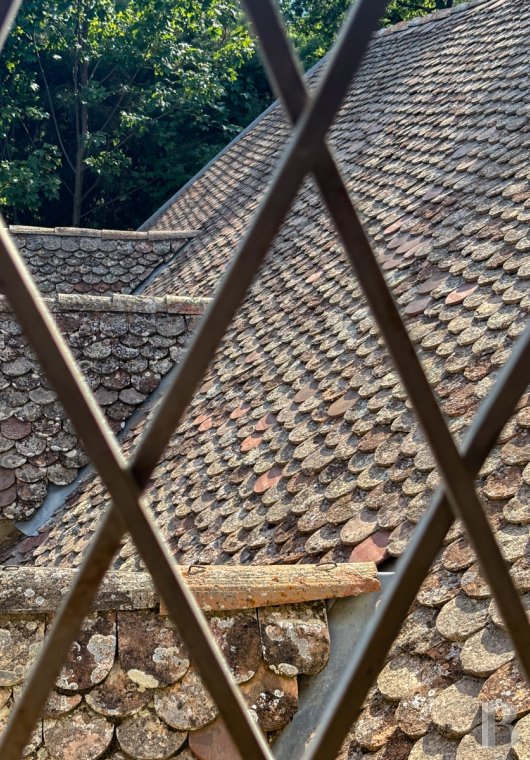 maisons de caractere a vendre paca   - 11