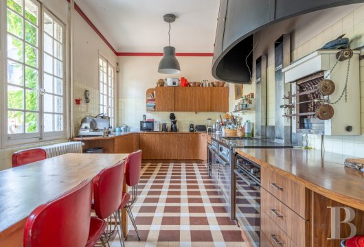 chateaux for sale France center val de loire   - 8
