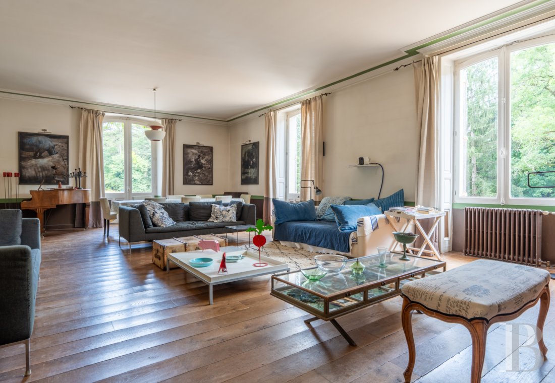 chateaux for sale France center val de loire   - 5
