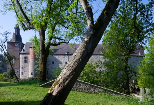 A chateau-fortress with a one hundred hectare estate in the county of Namur, to the south of Brussels in Belgium - photo  n°3