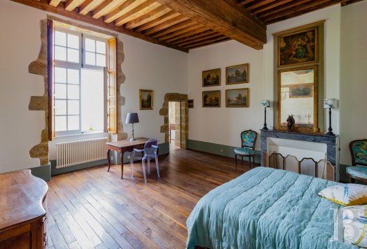 chateaux a vendre bourgogne   - 7