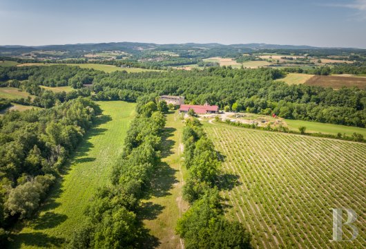 Dans le Tarn, au cœur du vignoble de Gaillac, un château d’origine médiévale entouré de ses vignes - photo  n°2