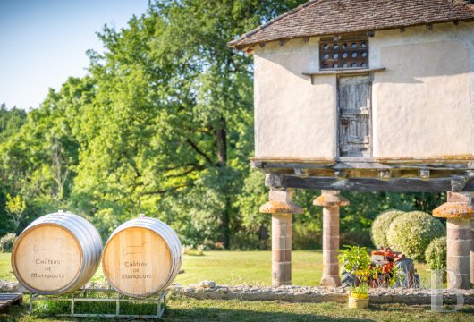 Dans le Tarn, au cœur du vignoble de Gaillac, un château d’origine médiévale entouré de ses vignes - photo  n°3
