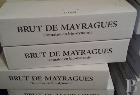 Dans le Tarn, au cœur du vignoble de Gaillac, un château d’origine médiévale entouré de ses vignes - photo  n°52