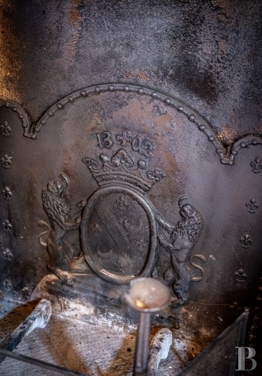 Dans le Tarn, au cœur du vignoble de Gaillac, un château d’origine médiévale entouré de ses vignes - photo  n°15