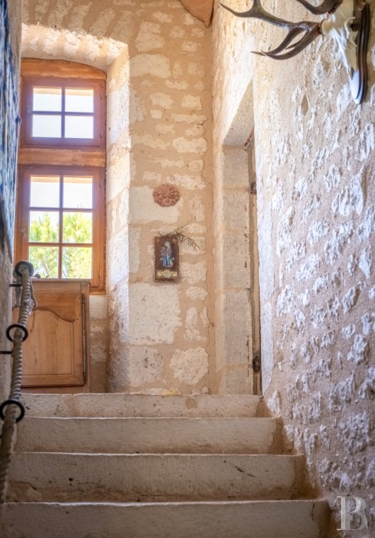 Dans le Tarn, au cœur du vignoble de Gaillac, un château d’origine médiévale entouré de ses vignes - photo  n°44