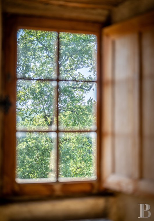 Dans le Tarn, au cœur du vignoble de Gaillac, un château d’origine médiévale entouré de ses vignes - photo  n°23