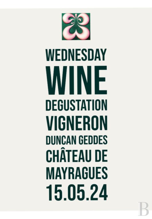 Dans le Tarn, au cœur du vignoble de Gaillac, un château d’origine médiévale entouré de ses vignes - photo  n°48