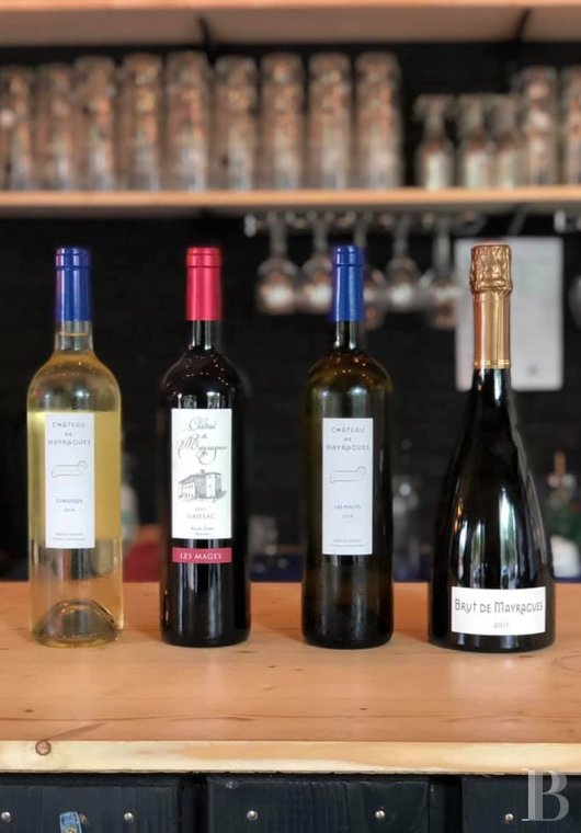 Dans le Tarn, au cœur du vignoble de Gaillac, un château d’origine médiévale entouré de ses vignes - photo  n°47