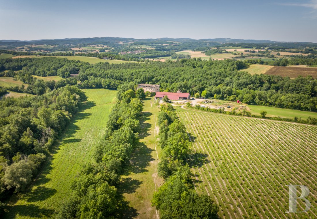 Dans le Tarn, au cœur du vignoble de Gaillac, un château d’origine médiévale entouré de ses vignes - photo  n°42