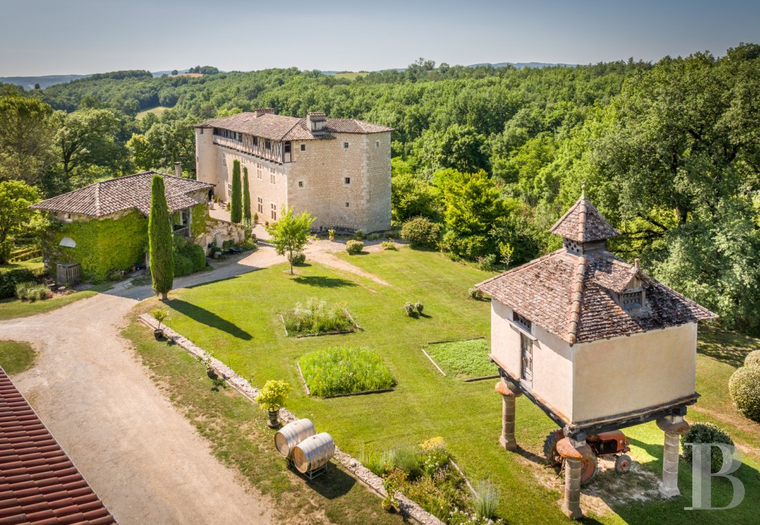 Dans le Tarn, au cœur du vignoble de Gaillac, un château d’origine médiévale entouré de ses vignes - photo  n°9