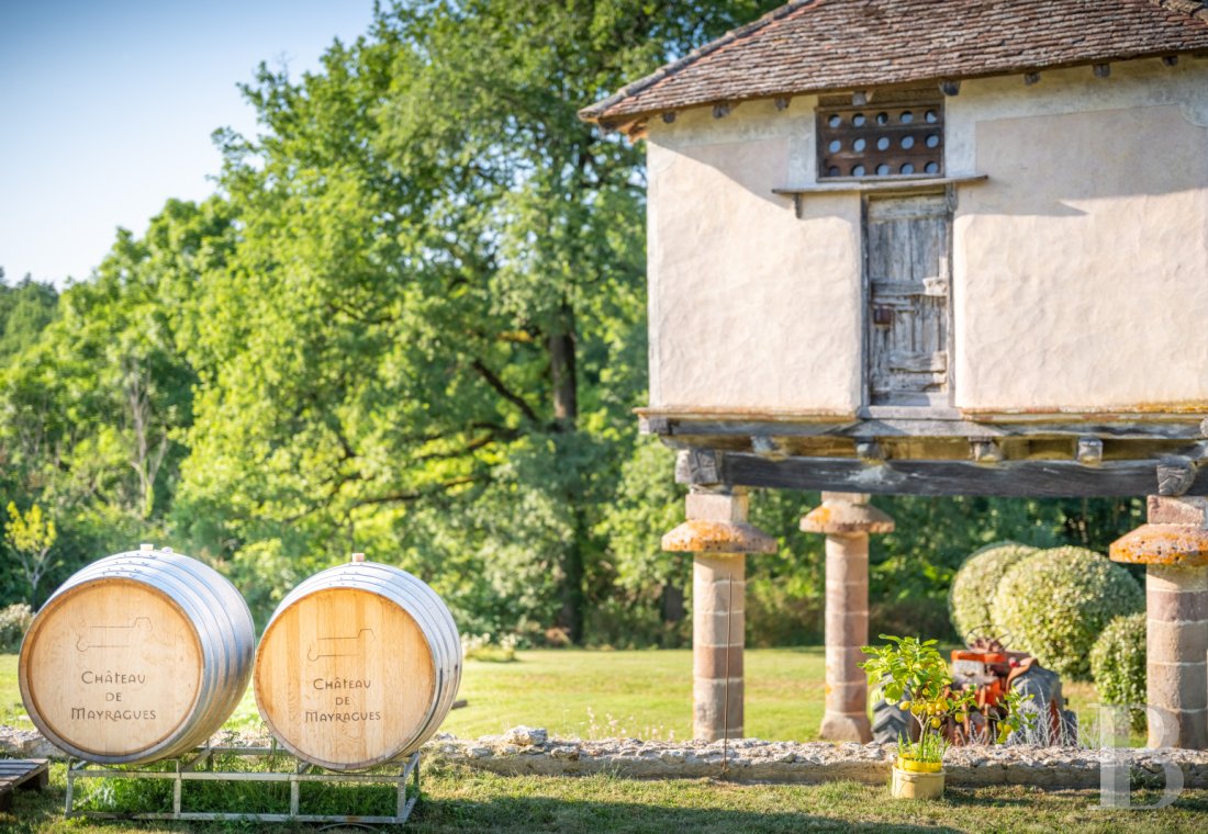Dans le Tarn, au cœur du vignoble de Gaillac, un château d’origine médiévale entouré de ses vignes - photo  n°38