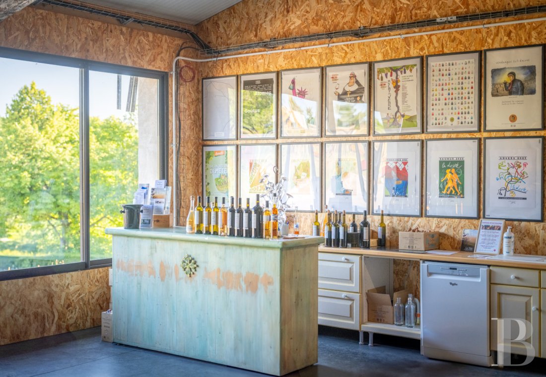 Dans le Tarn, au cœur du vignoble de Gaillac, un château d’origine médiévale entouré de ses vignes - photo  n°46